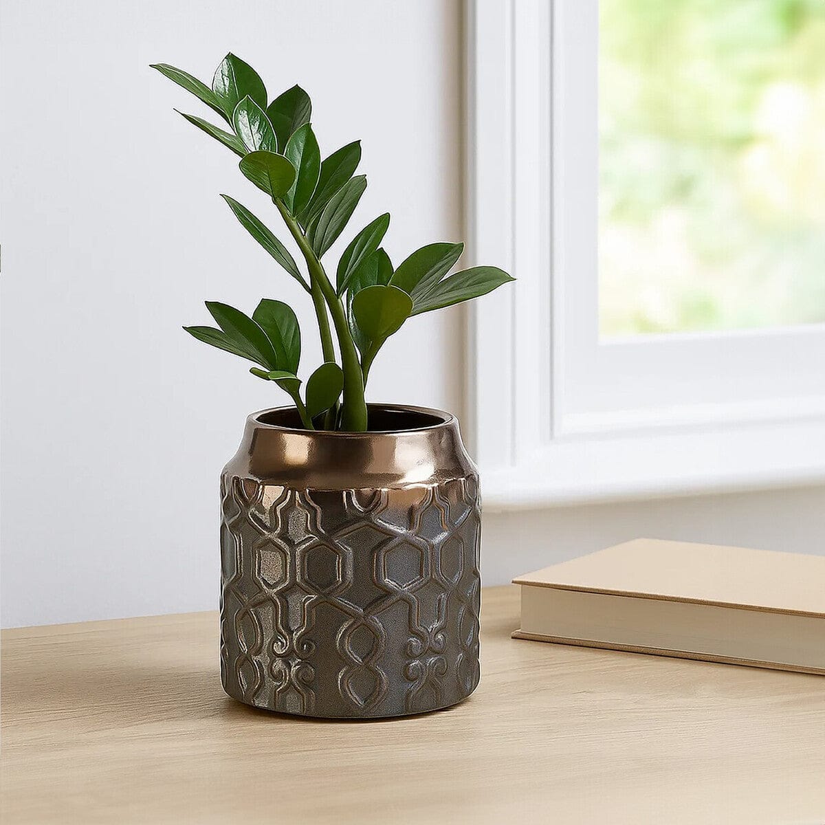 Zircon Small Ceramic Planter - Image 7
