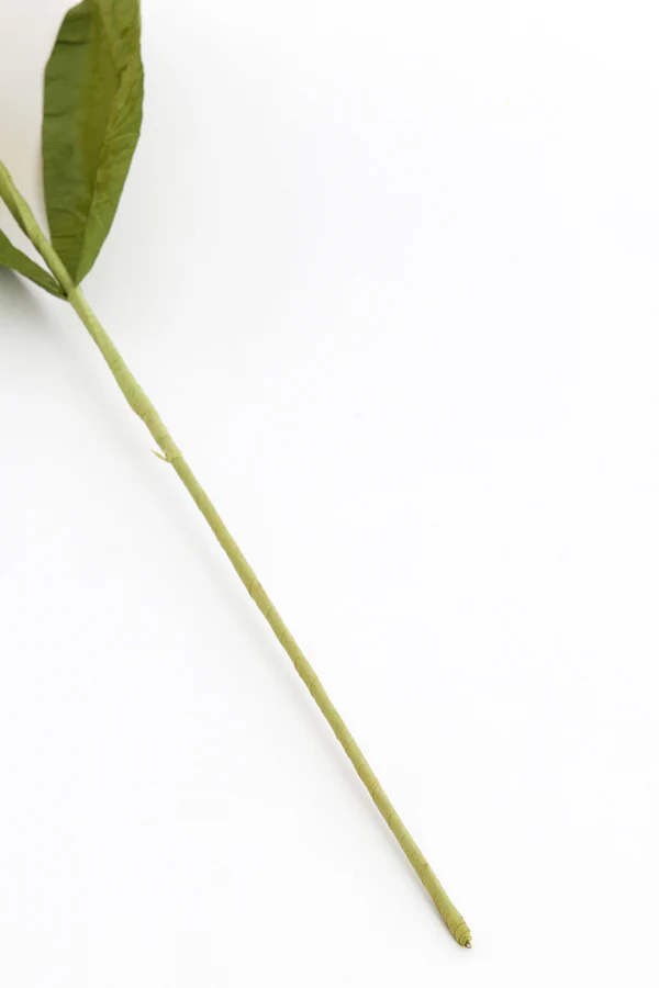 Artificial flower 26x7x73 cm HALIA paper green+yellow - Image 3