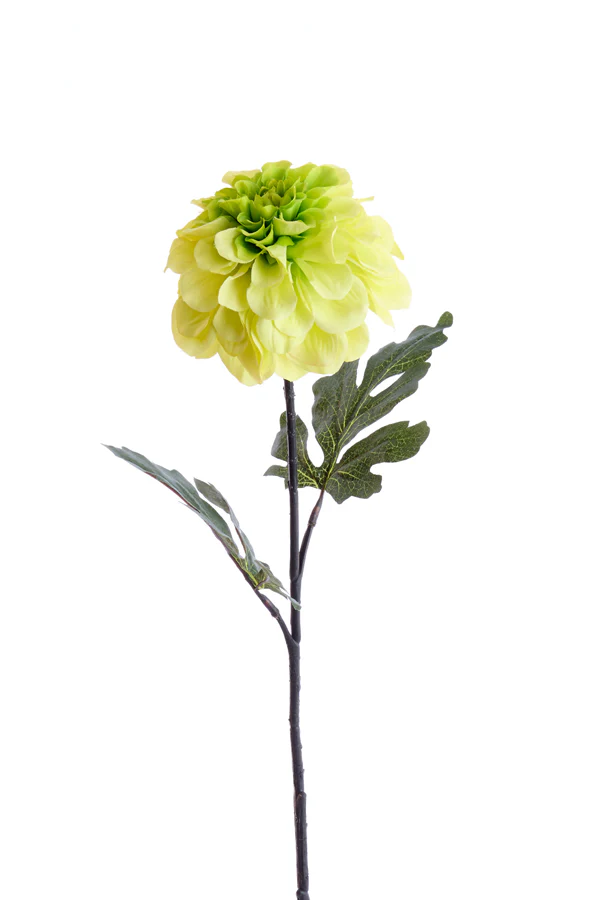 Artificial flower 76x12x10 cm JIRINA light green - Image 2