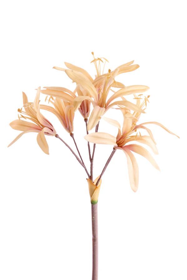 Artificial flower 86x13x13 cm LYCORIS beige - Image 2
