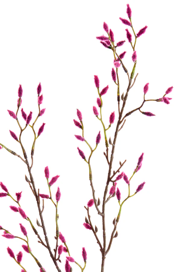 Artificial flower 90x20x5 cm CATKINS pink - Image 2
