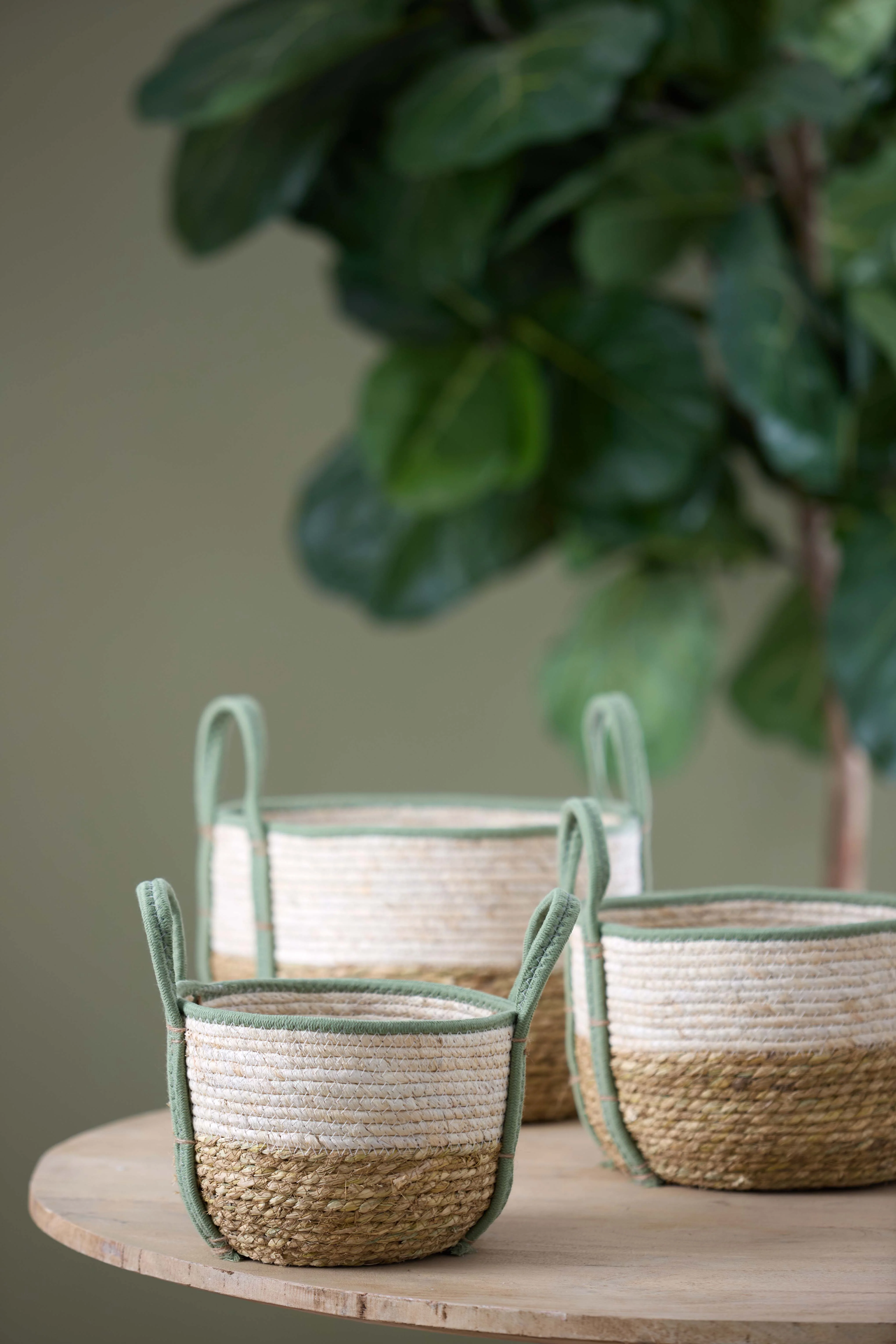Basket S/3 max 33x23 cm KINSALE natural-cream-mint - Image 7