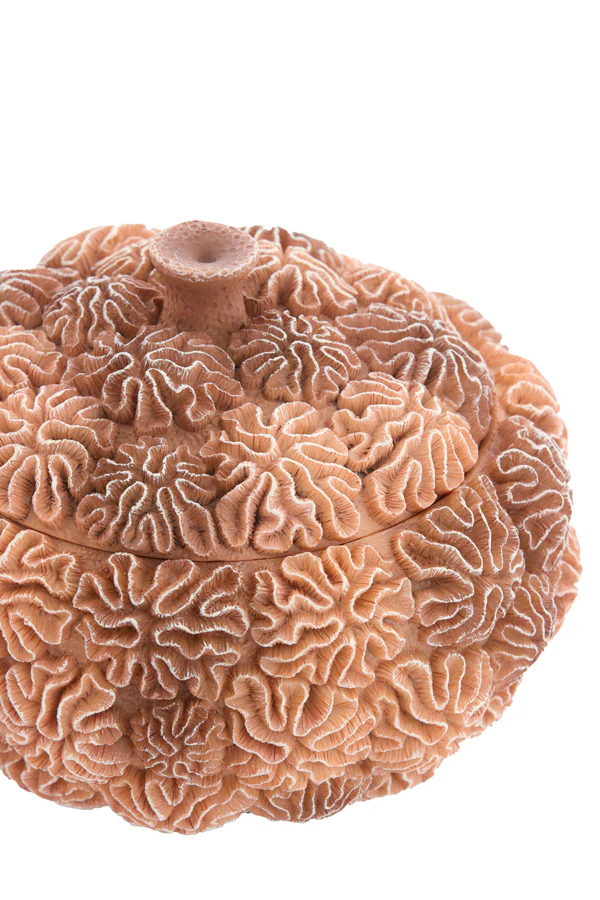 Deco box+lid 20x15,5 cm CORAL peach-light brown - Image 2