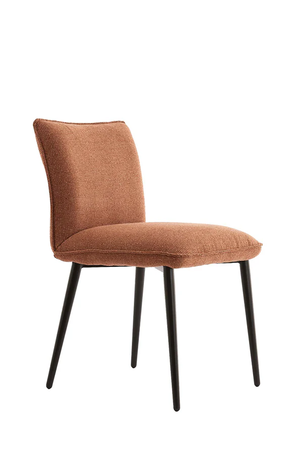 Dining chair 58x47x80 cm VADENI terra+black