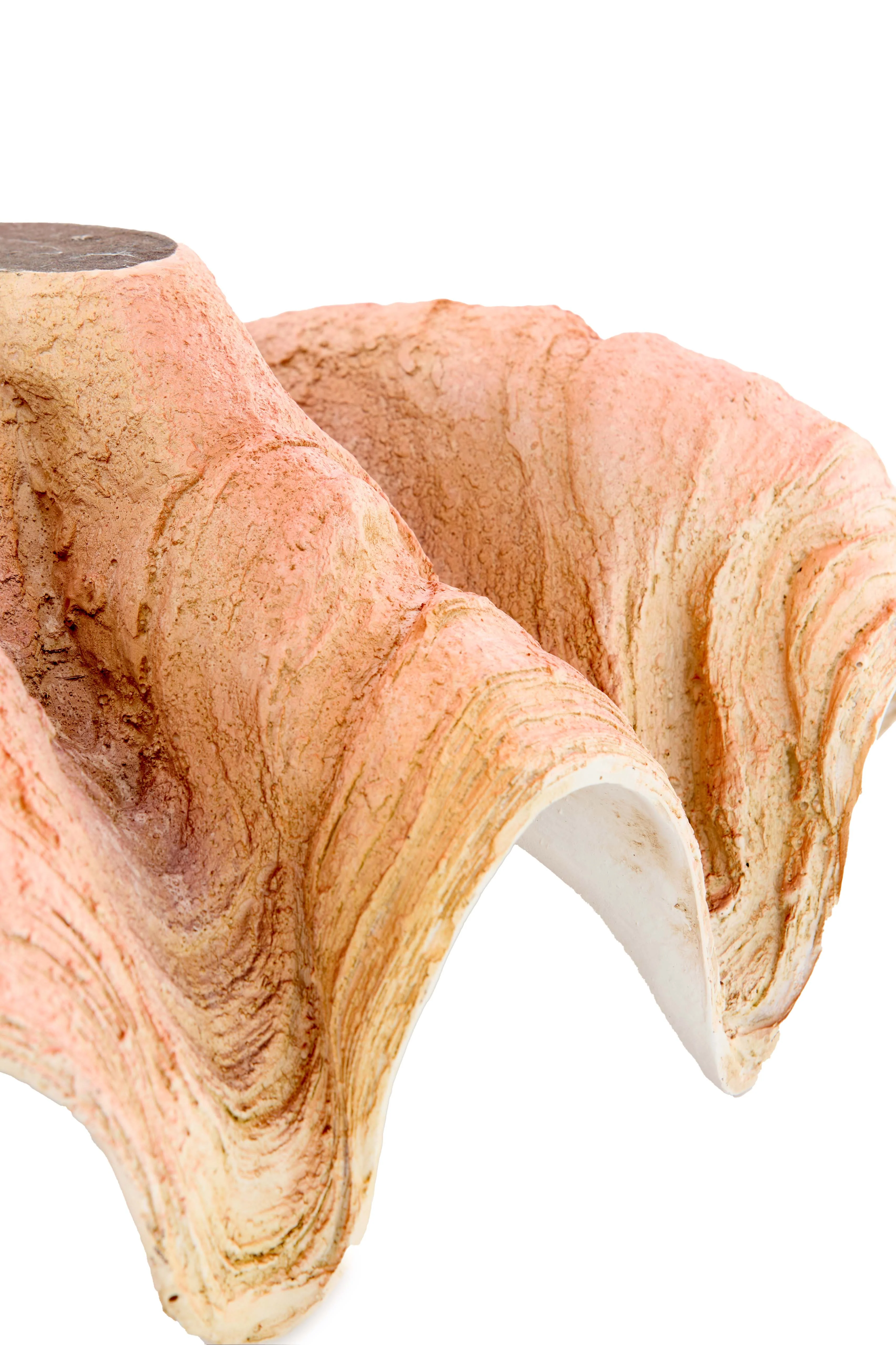 Ornament 20x12,5x7,5 cm SHELL coral+cream - Image 3