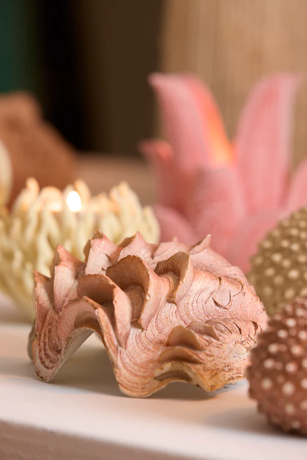 Ornament 20x12,5x7,5 cm SHELL coral+cream - Image 7