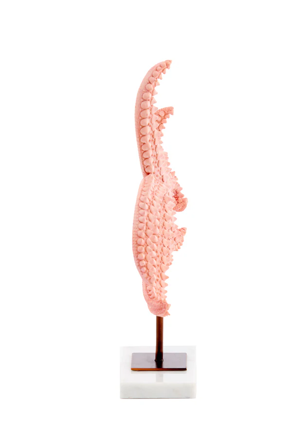 Ornament on base 28x8x36 cm STARFISH light pink+marble white - Image 3