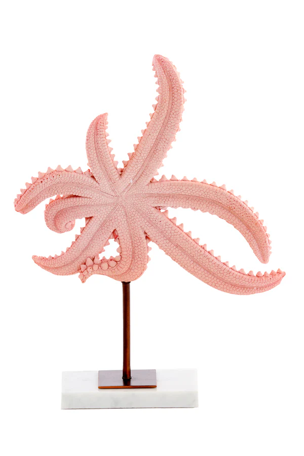 Ornament on base 28x8x36 cm STARFISH light pink+marble white - Image 4