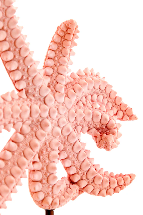 Ornament on base 28x8x36 cm STARFISH light pink+marble white - Image 5