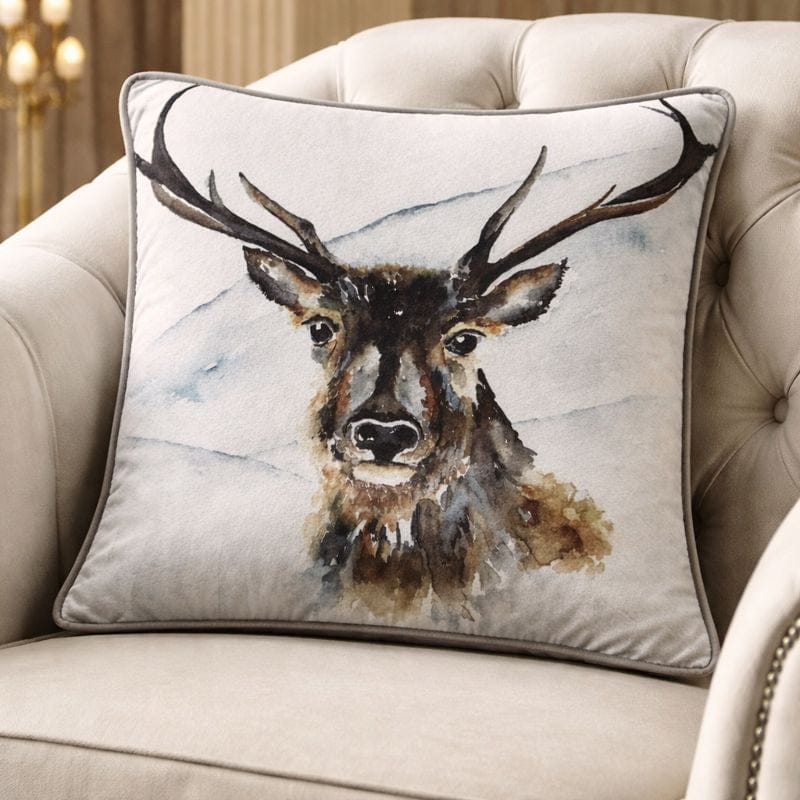 Malini Boris Cushion