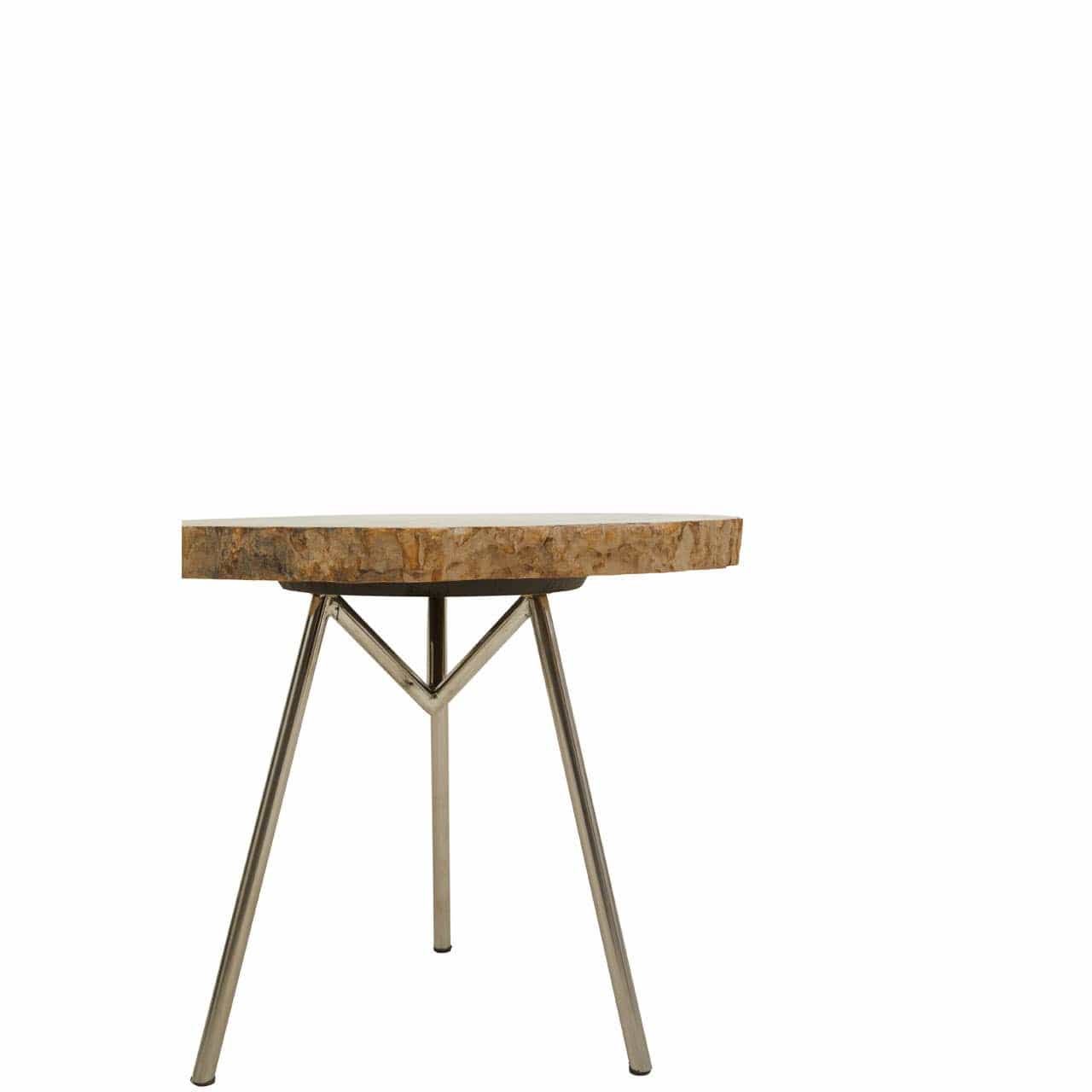 Relic Medium Petrified Wood Side Table - Image 5