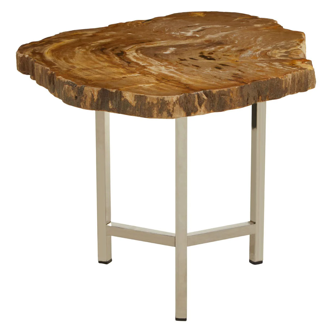 Relic Small Petrified Wood Side Table - Image 3
