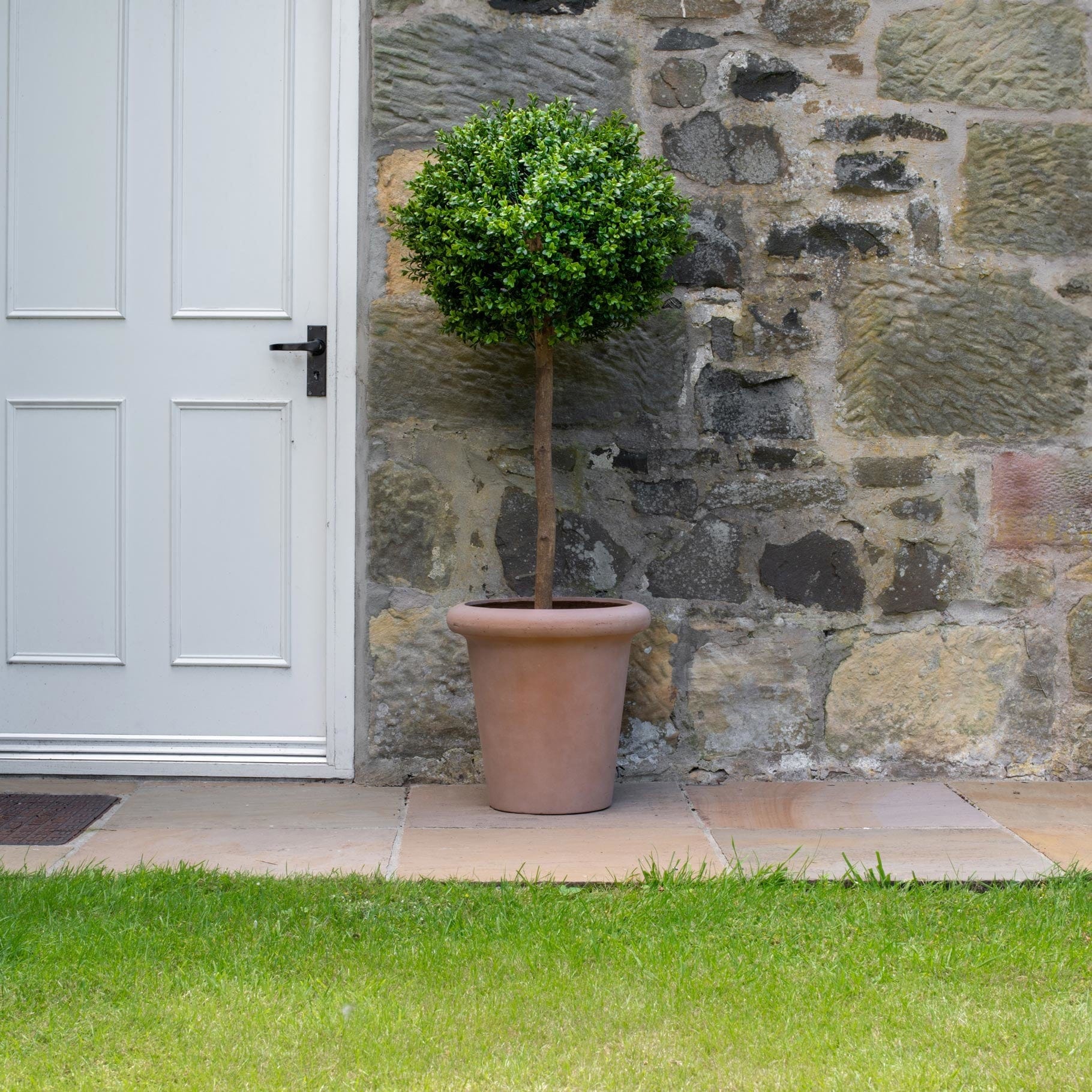 AN Buxus Ball Tree in Ravello Pot 125cm UV - Image 3