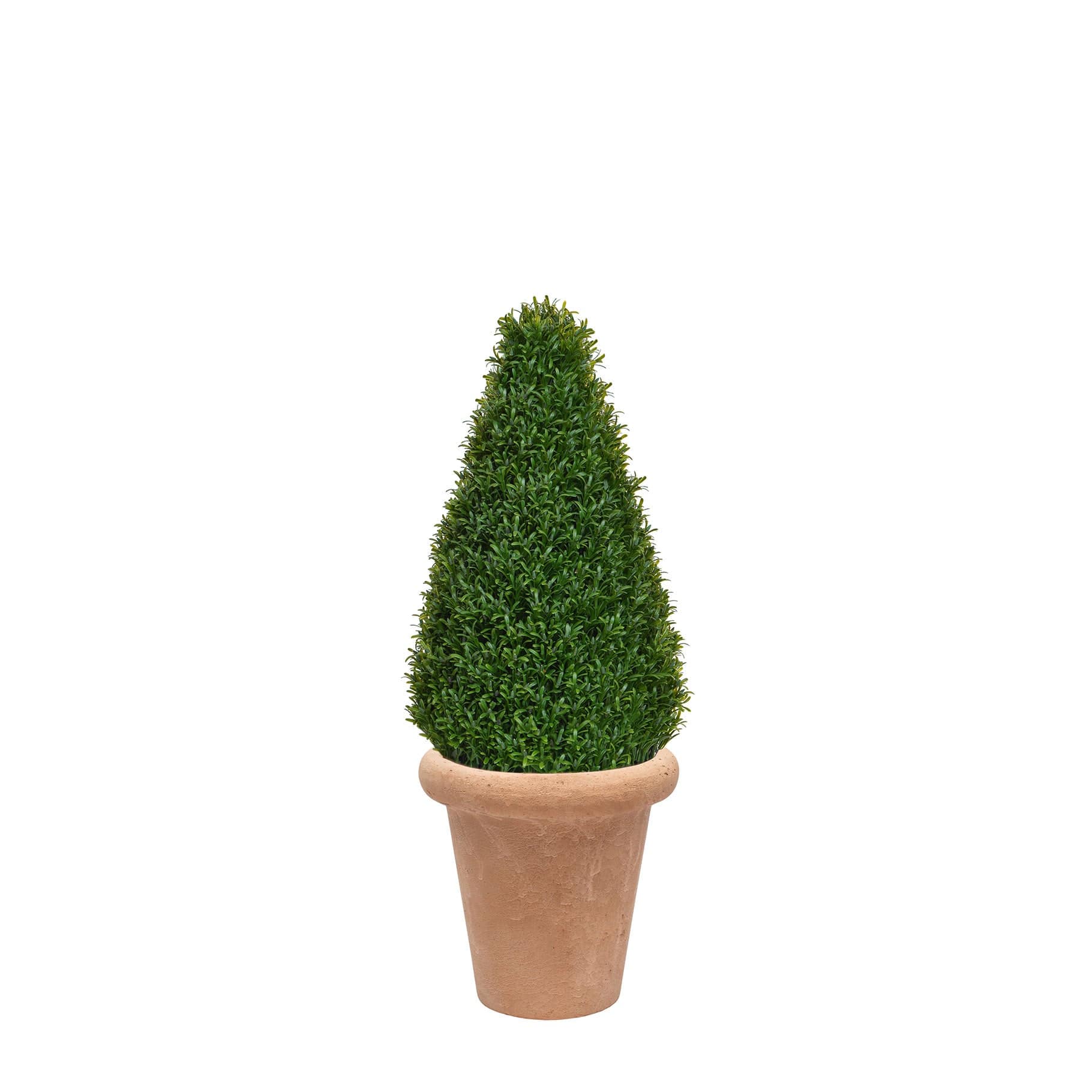 AN Rosemary Tower in Ravello Terra Pot 90cm