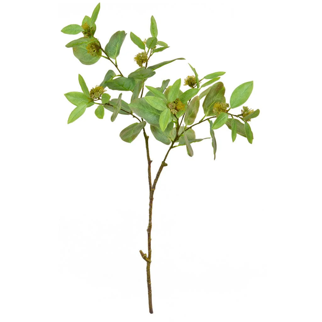 FS Eucalyptus Bud Spray GB 89cm