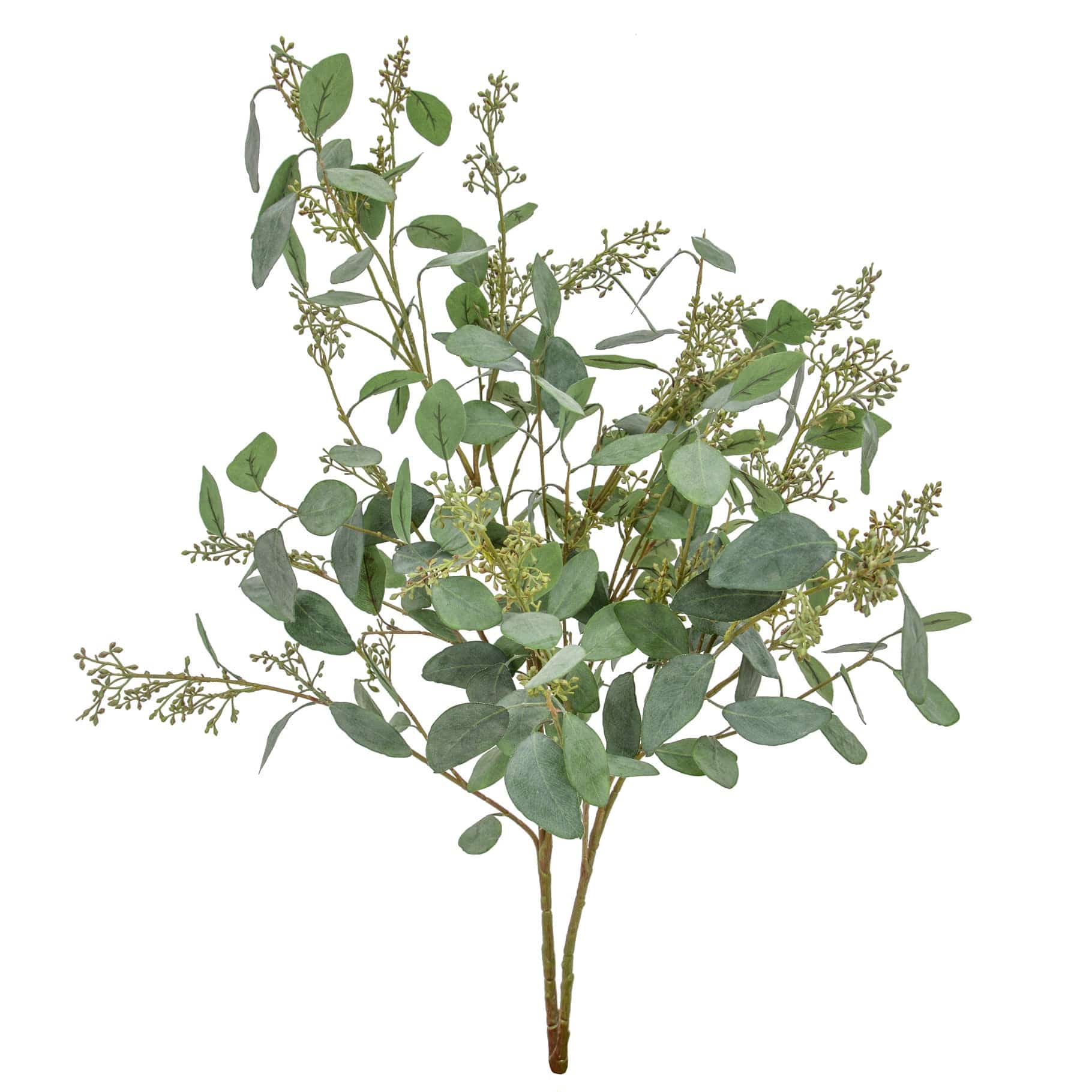 FS Eucalyptus in Seed 115cm - Image 4