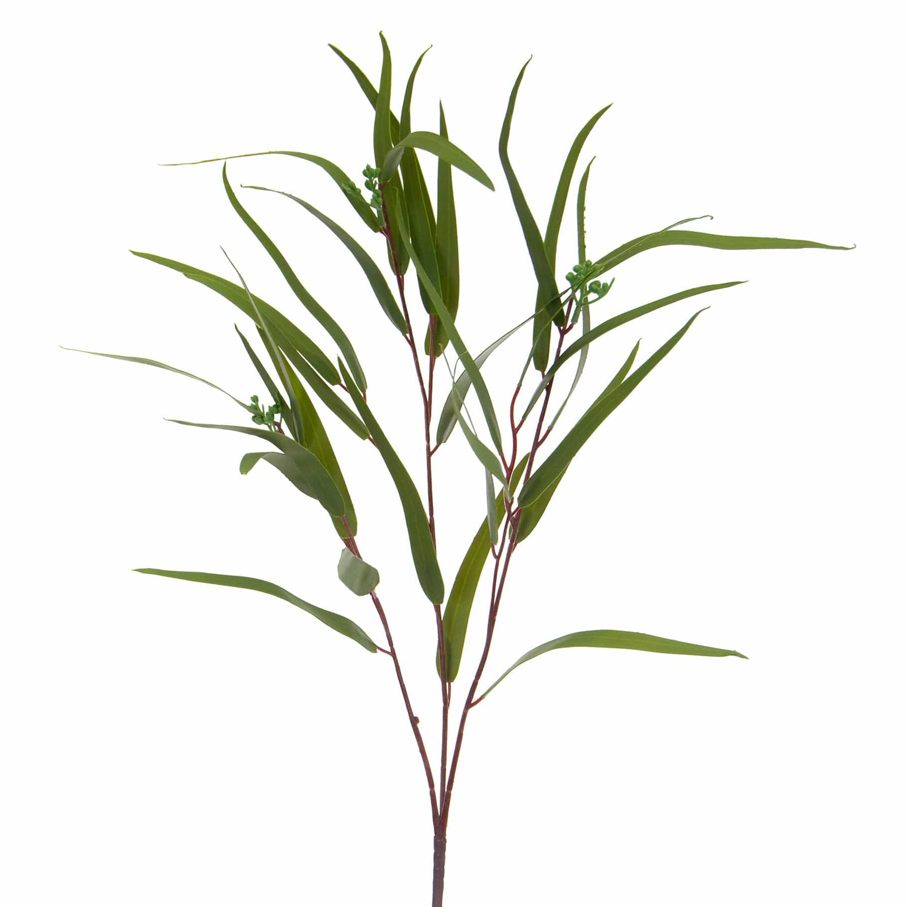 FS Eucalyptus Nicholii Spray GB 82cm - Image 2