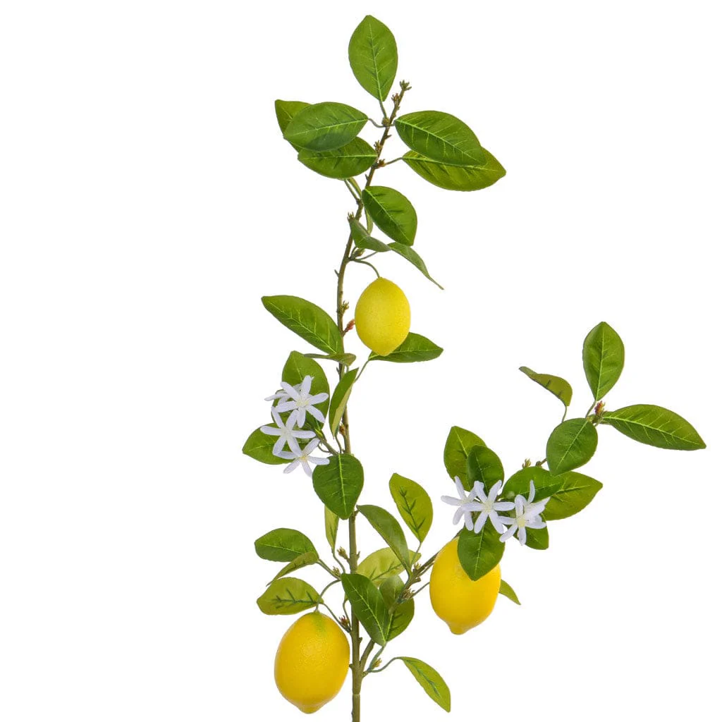FS Lemon Spray with Fruits GB 108cm - Image 2