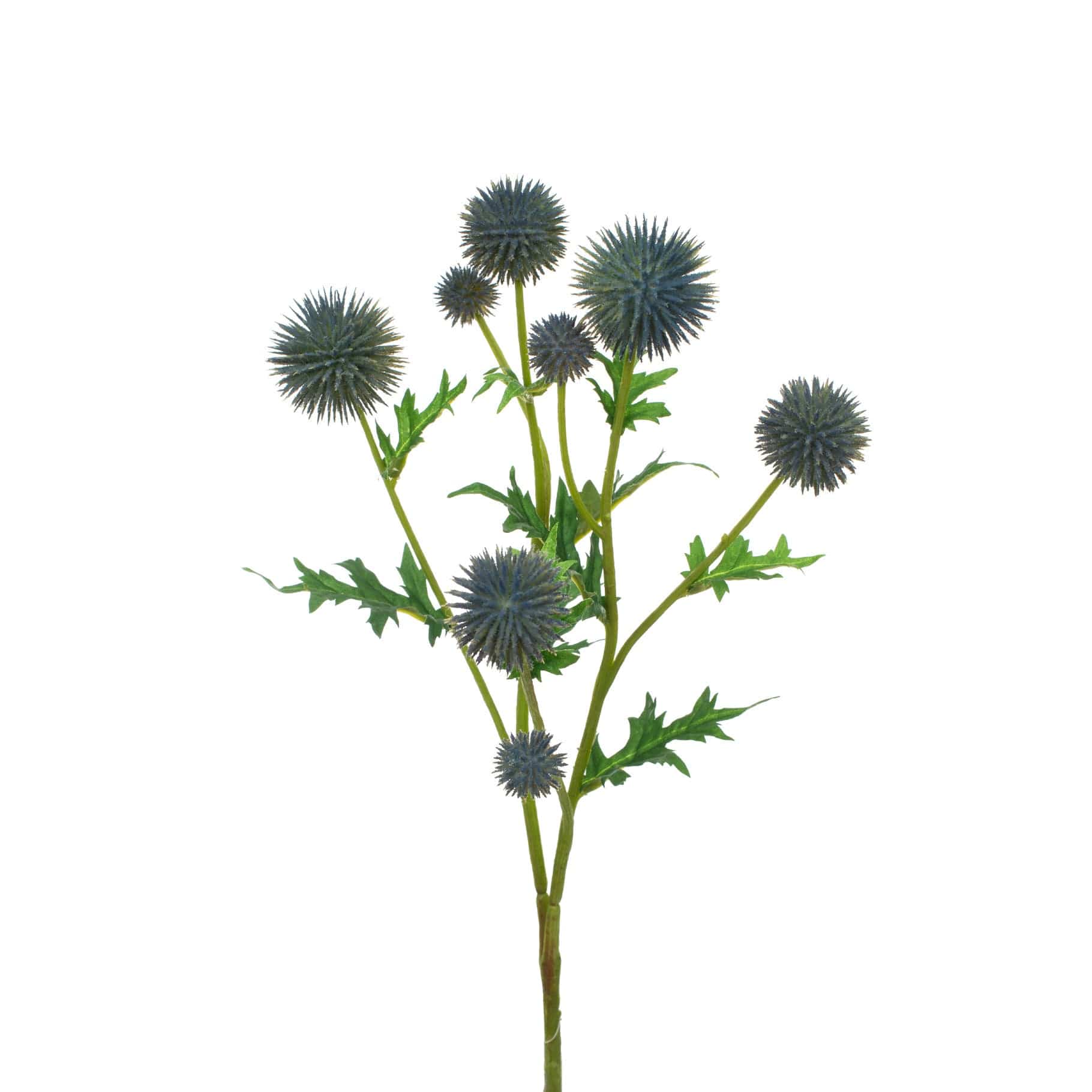 FS Thistle Blue GB 71cm - Image 3