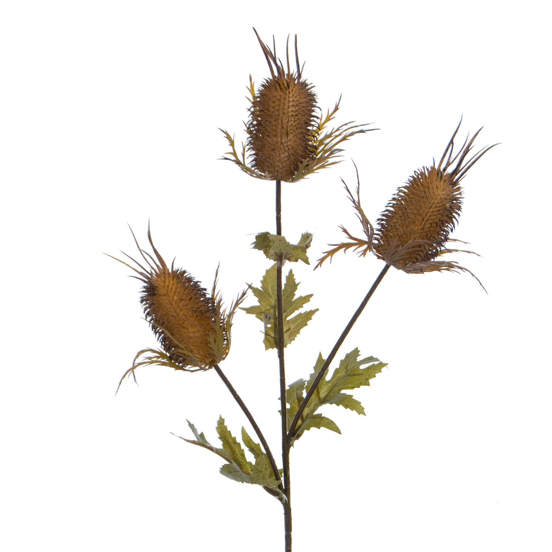 FS Thistle Spray Yellow/Brn GB 68cm - Image 2
