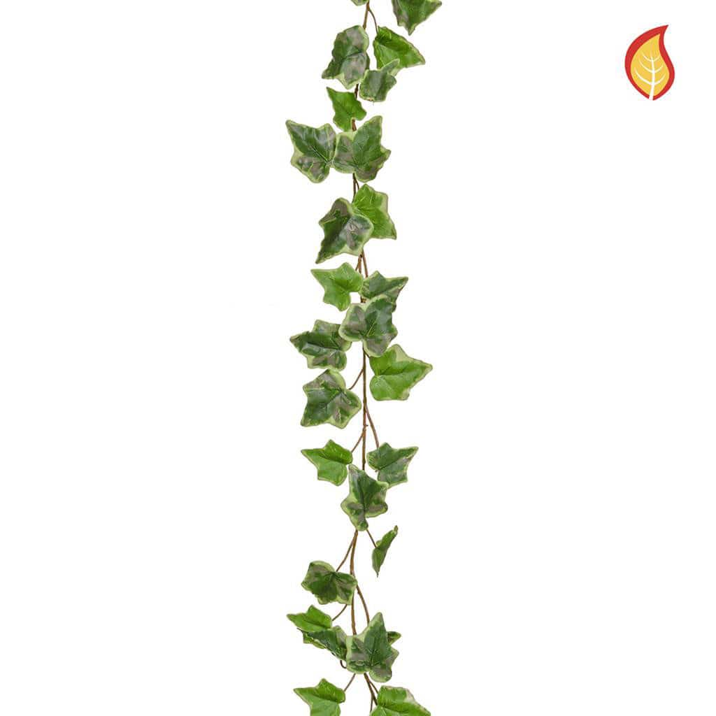 I & T Garland Ivy Variegated 220cm FR-S2 - Image 2