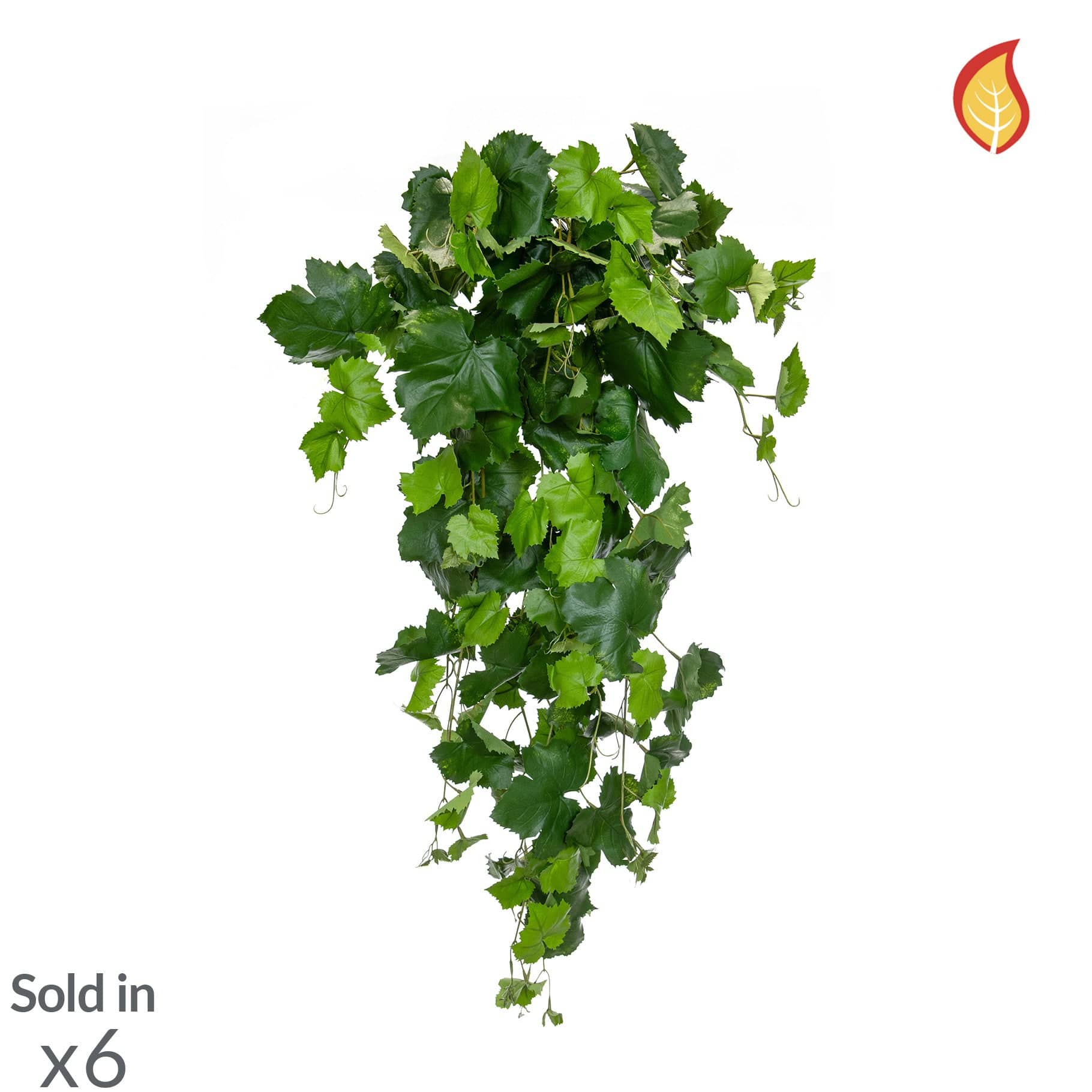 I & T Ivy Grape 102cm FR-S1 - Image 3