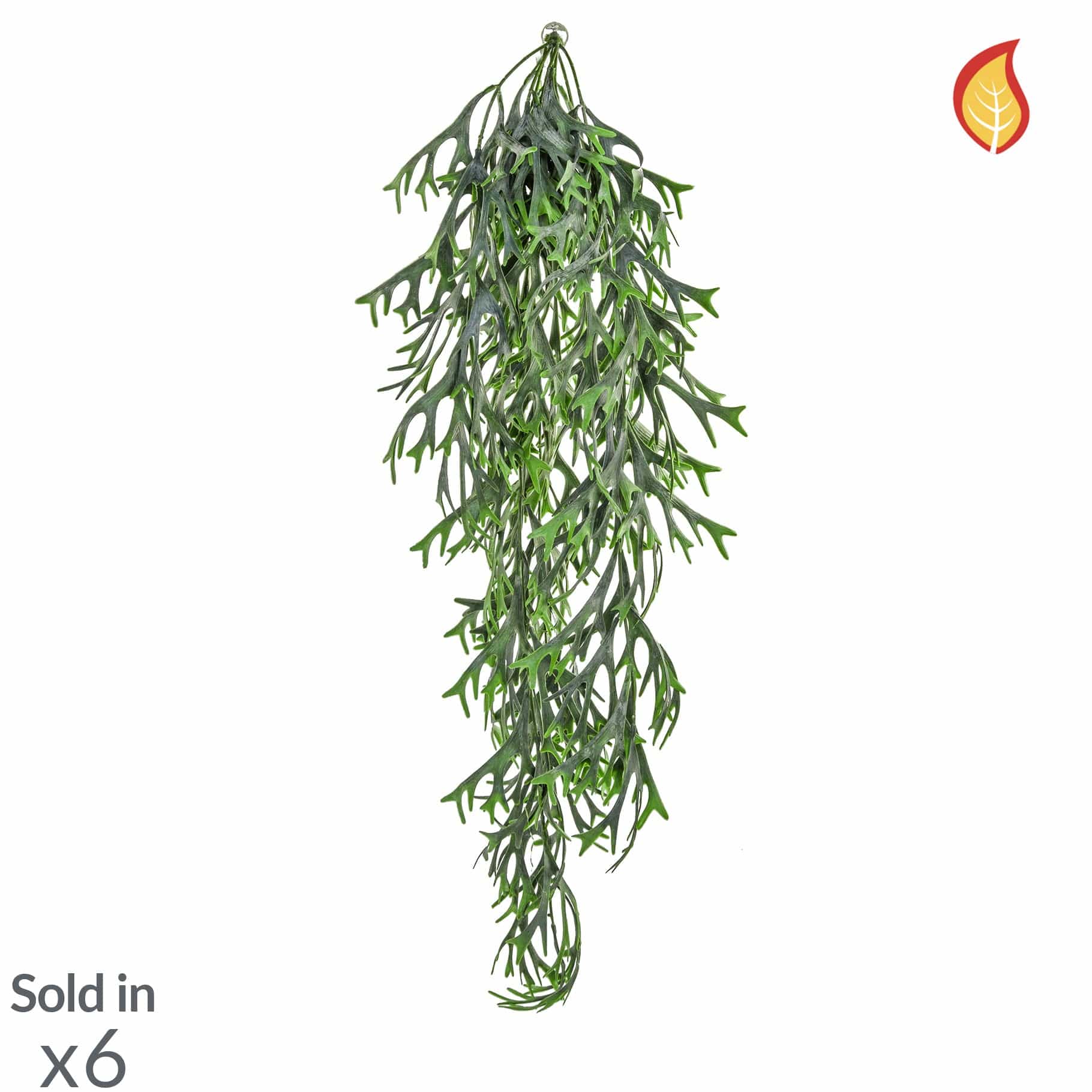 I & T Staghorn Hanging 80cm FR-S3