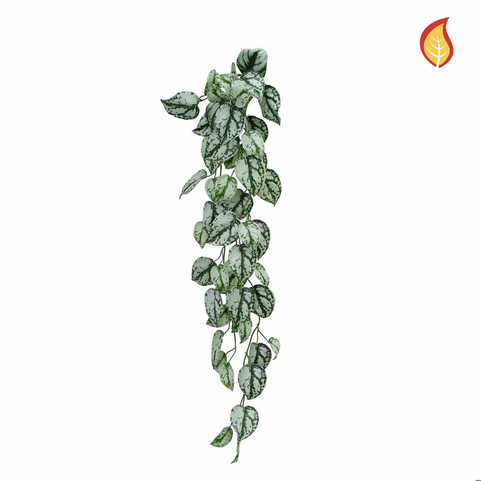 I & T Trailing Scindapsus 85cm FR-S14