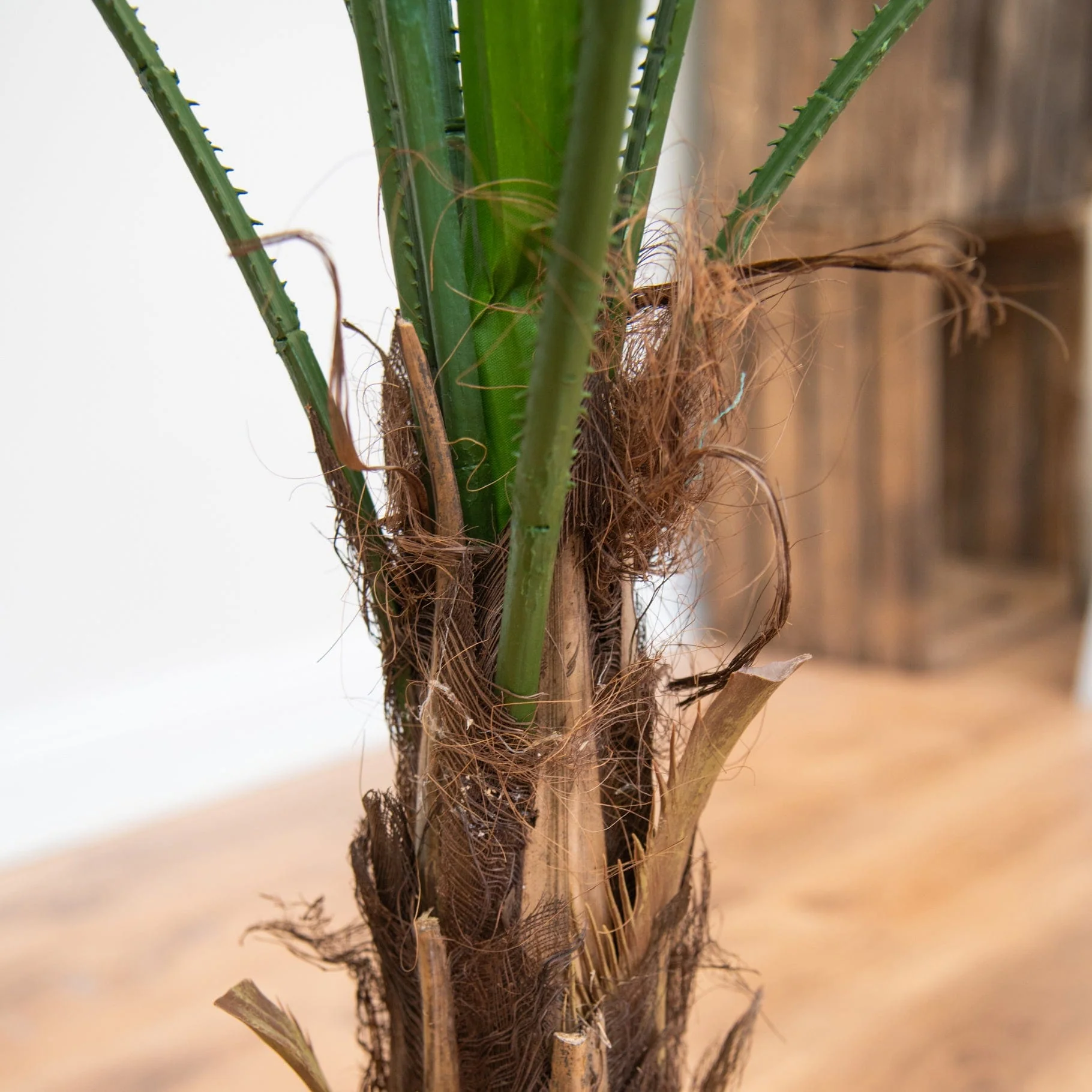Palm Grandis 120cm FR-S1 - Image 3