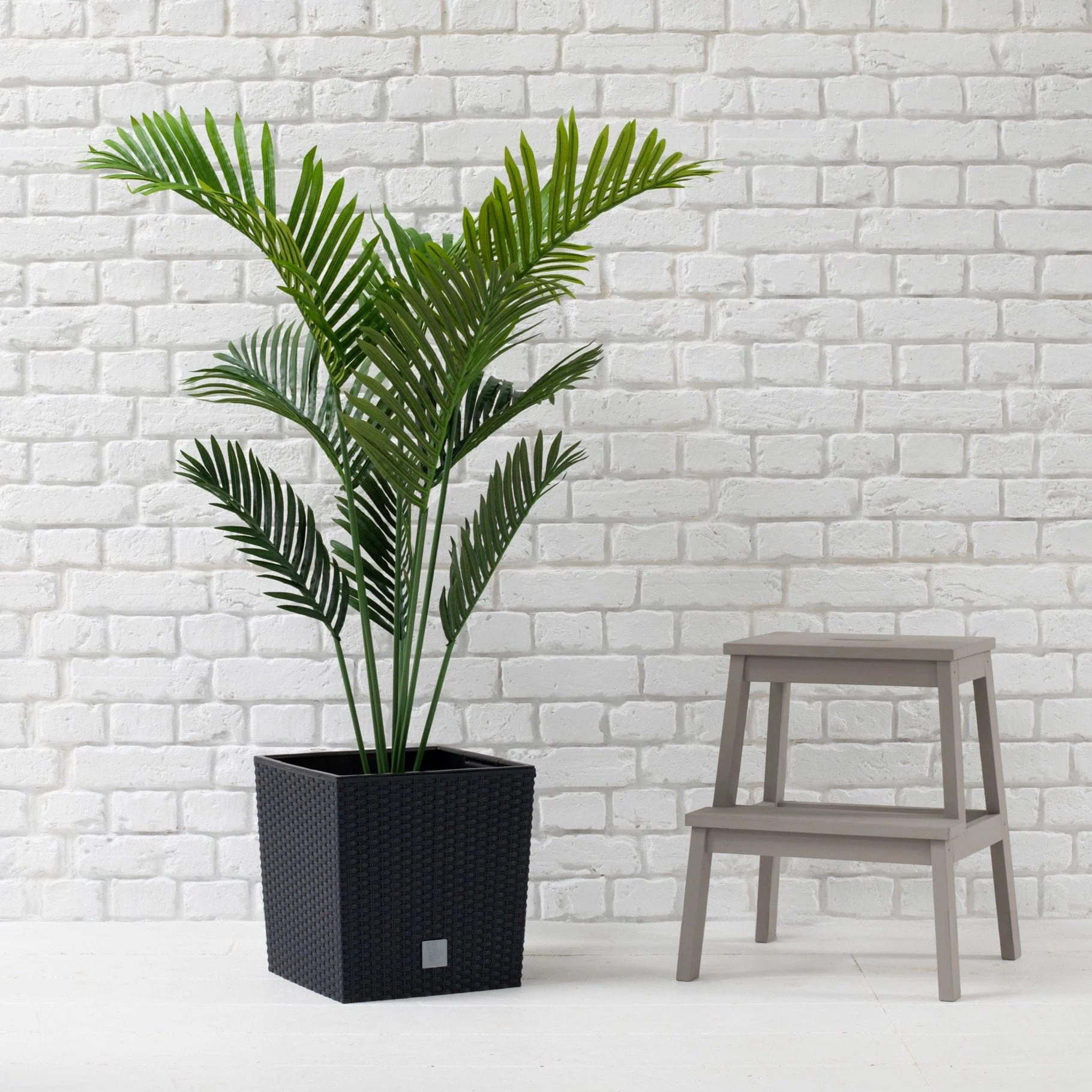 Palm Paradise Contract 120cm FR-S2