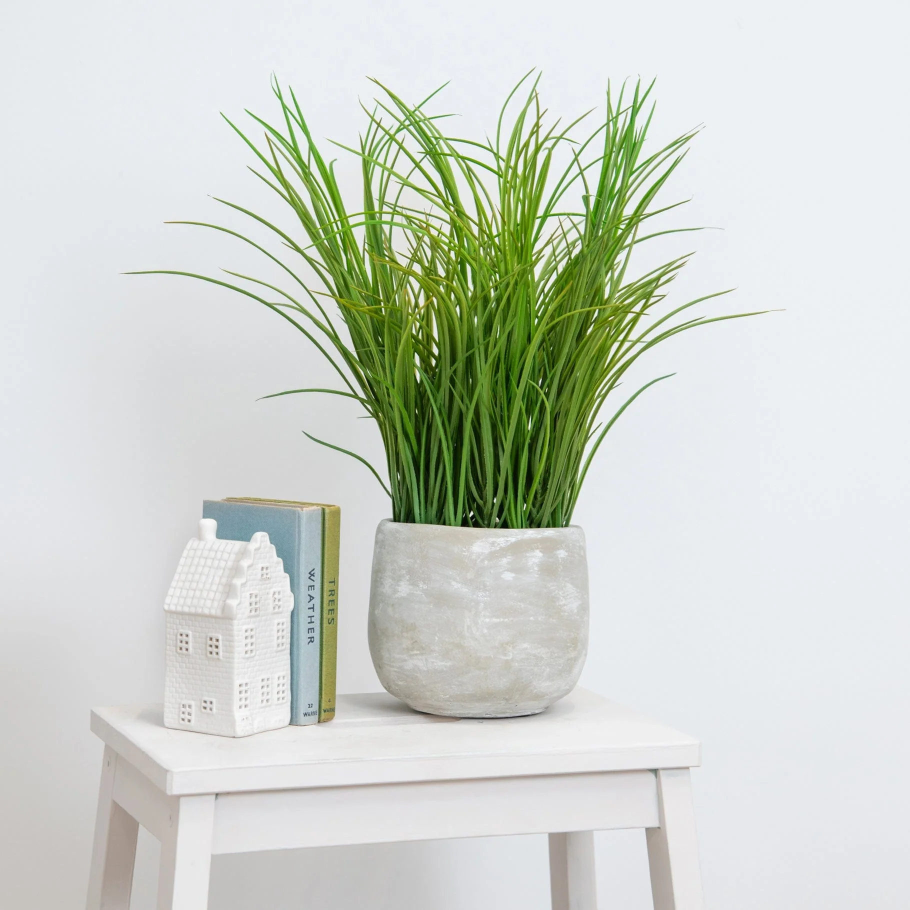 PP Grass in Pot 42cm S12