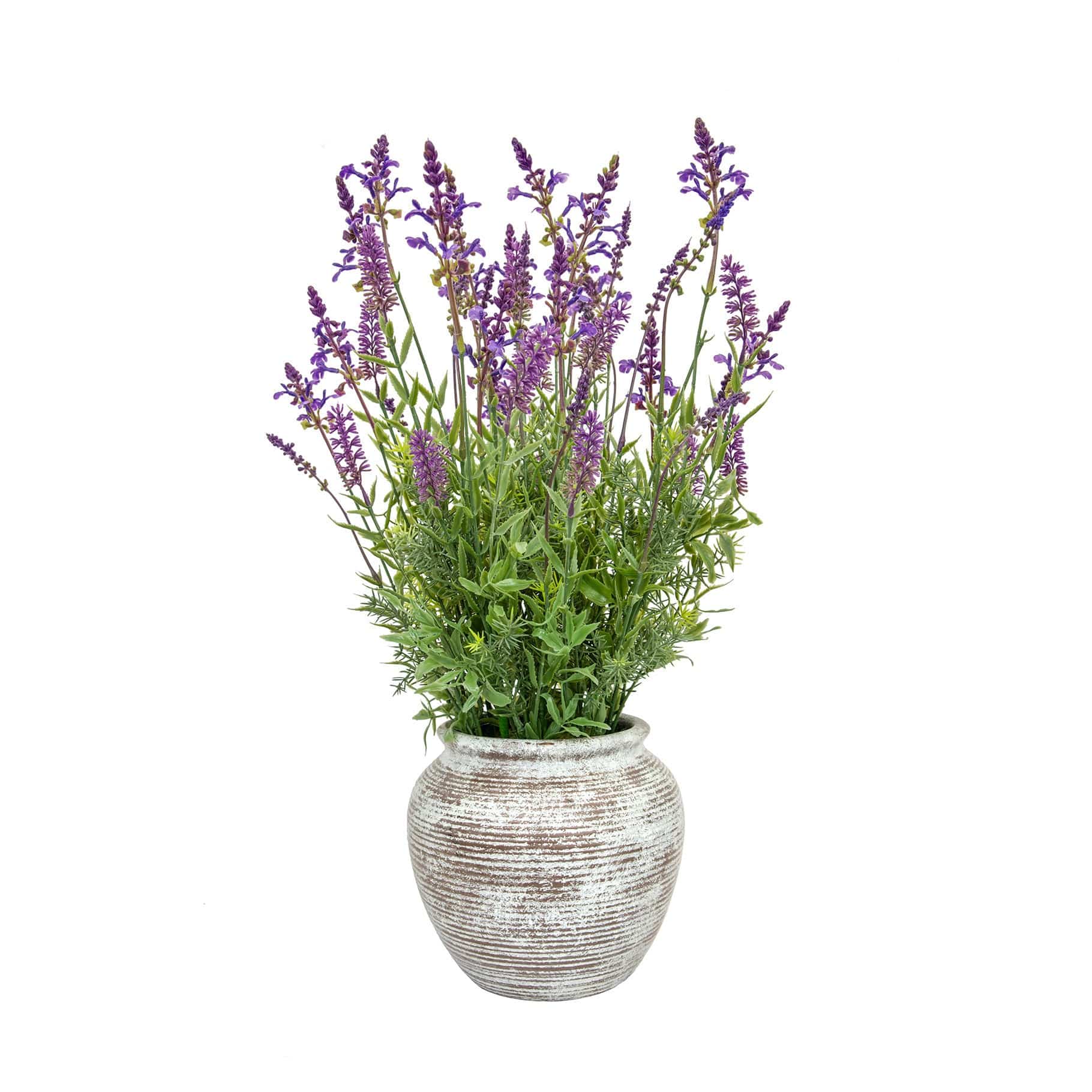 PP Lavender Grass Mix in Pot 63cm S12