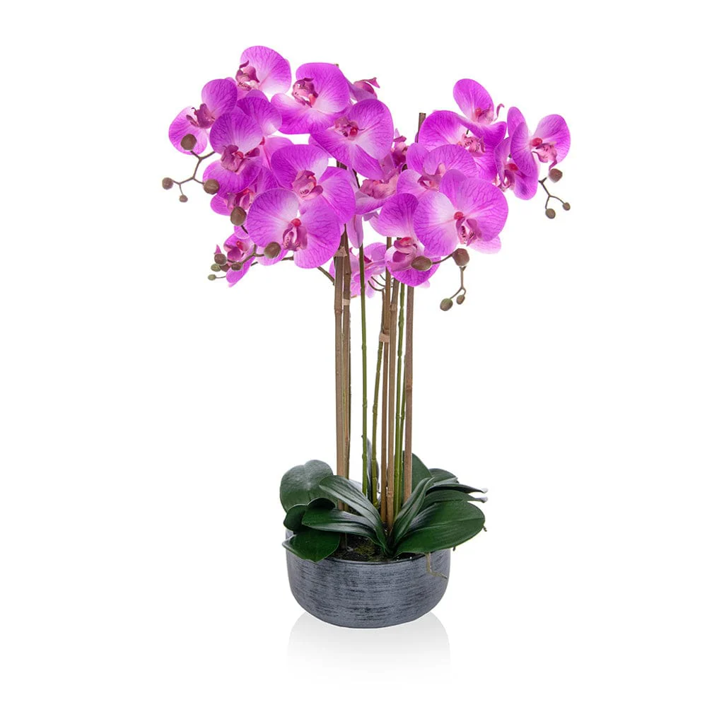 PP Phal Real Touch Beauty Y 70cm - Image 3