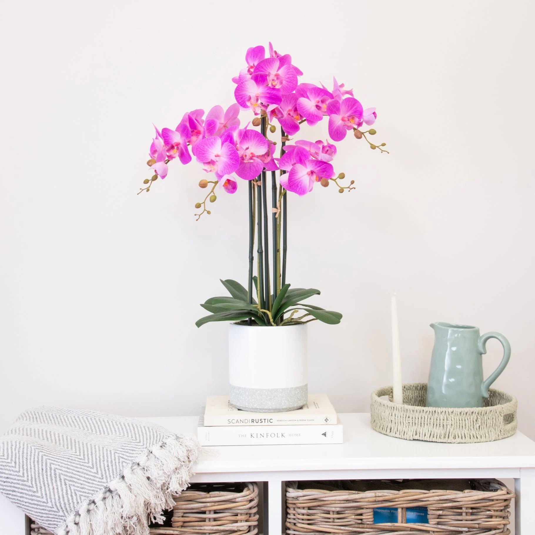 PP Phalaenopsis Real Touch Beauty W/Pot 70cm