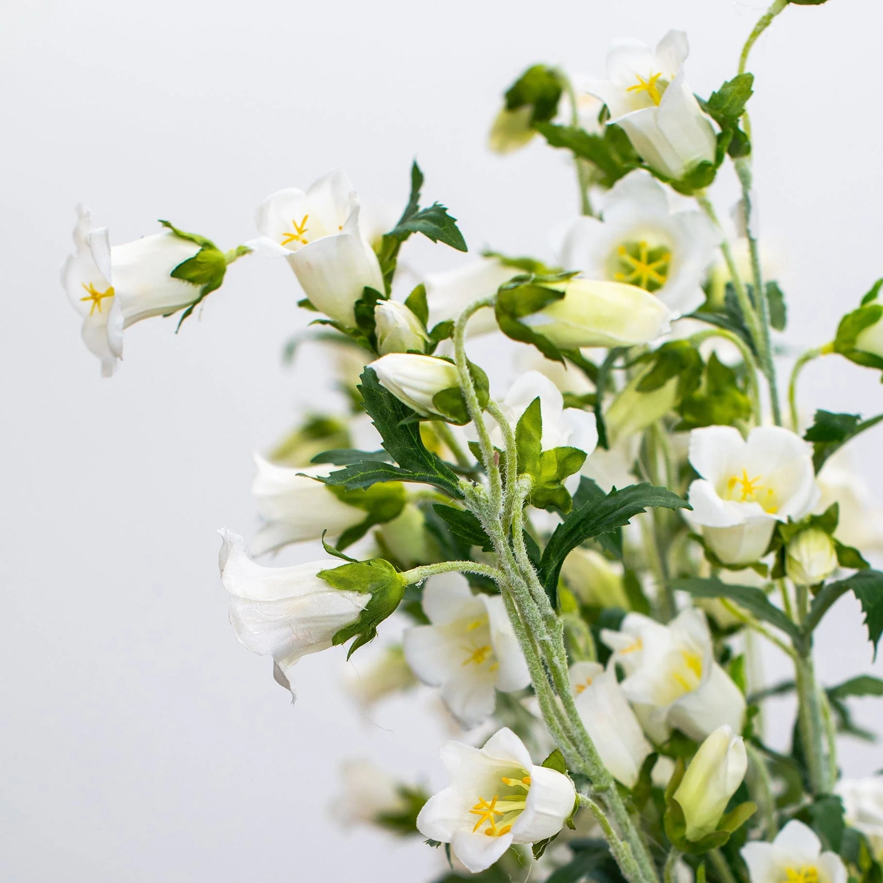 SF Bell Flower White GB 92cm - Image 2
