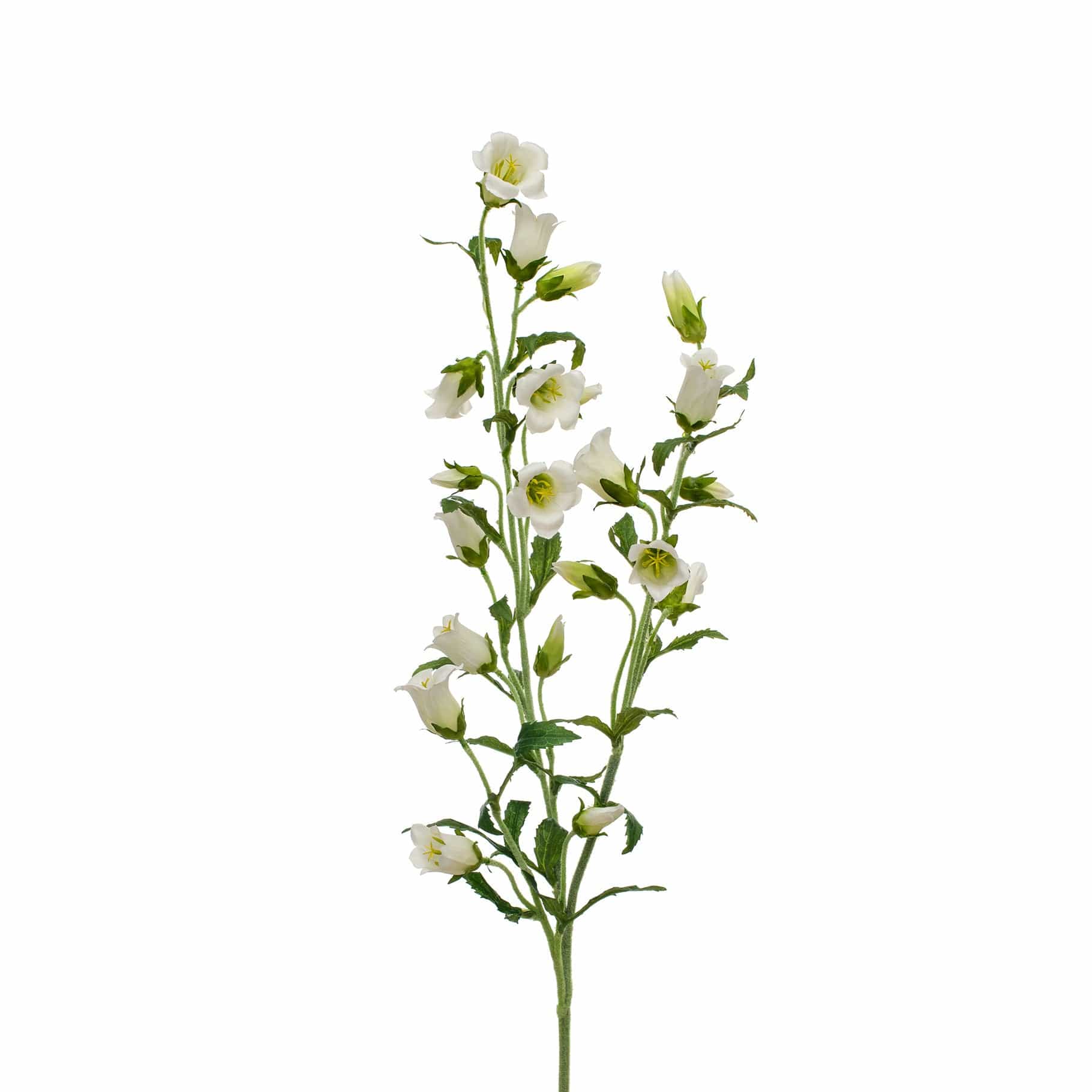 SF Bell Flower White GB 92cm - Image 3