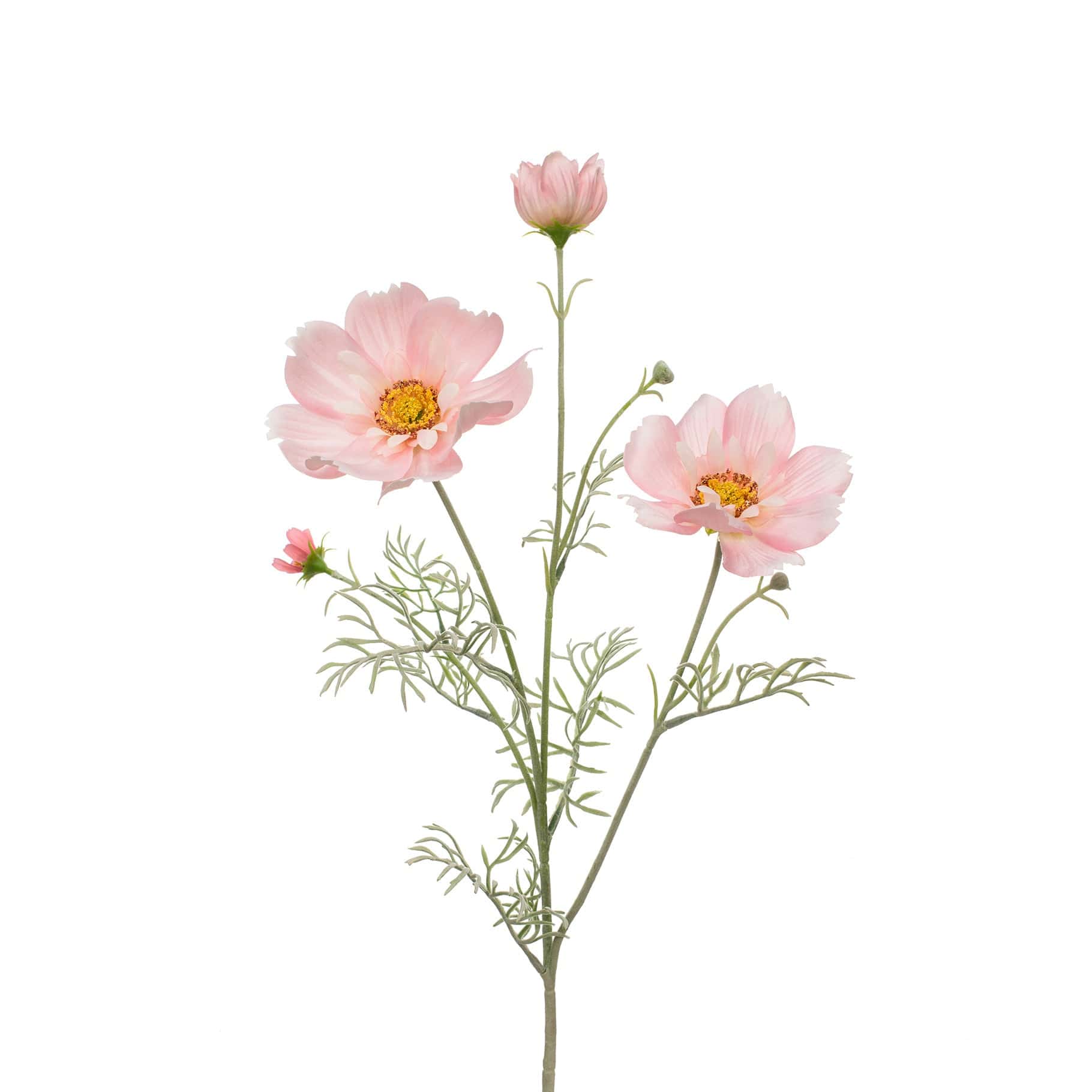 SF Cosmos Pink GB 78cm - Image 4