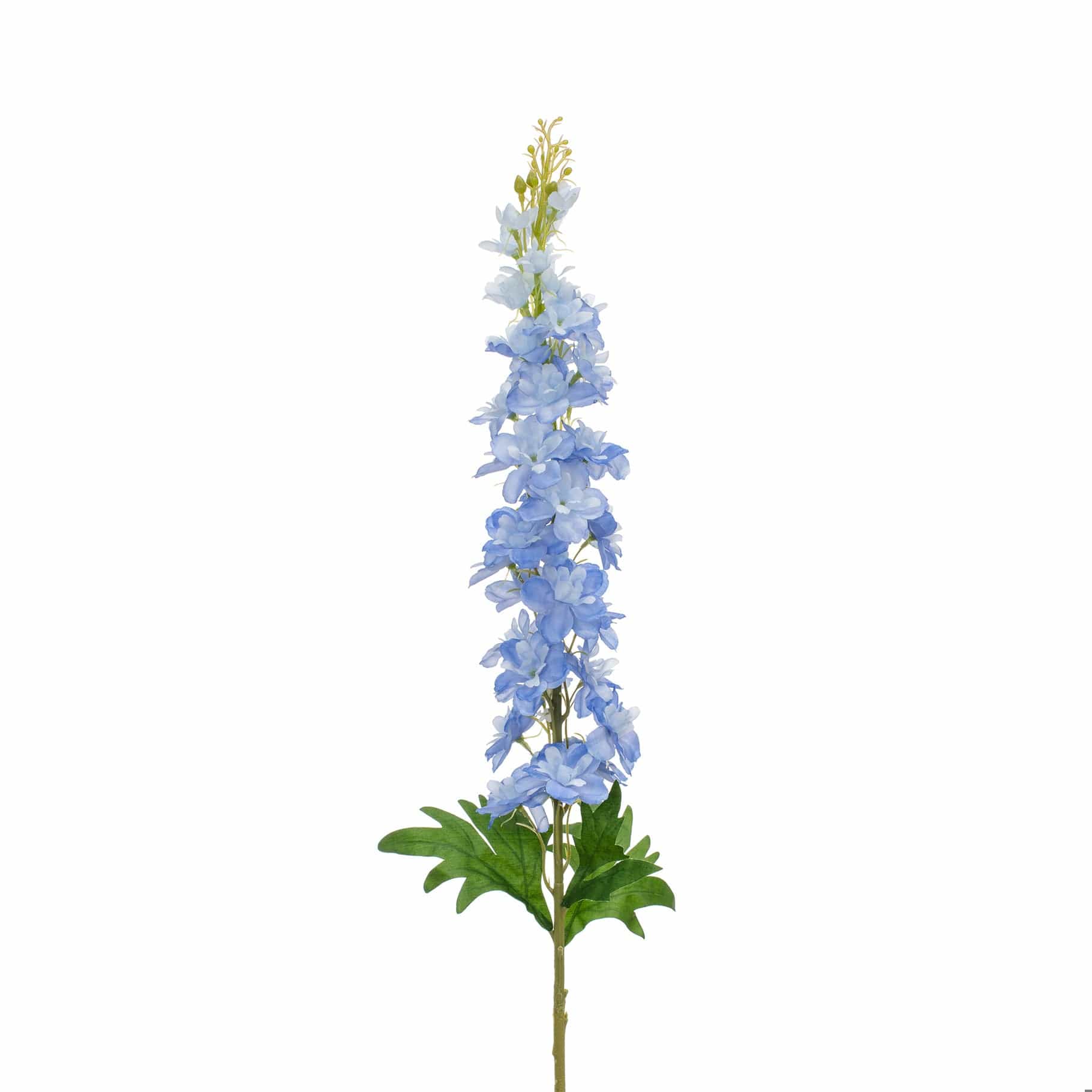 SF Delphinium Blue GB 108cm - Image 4