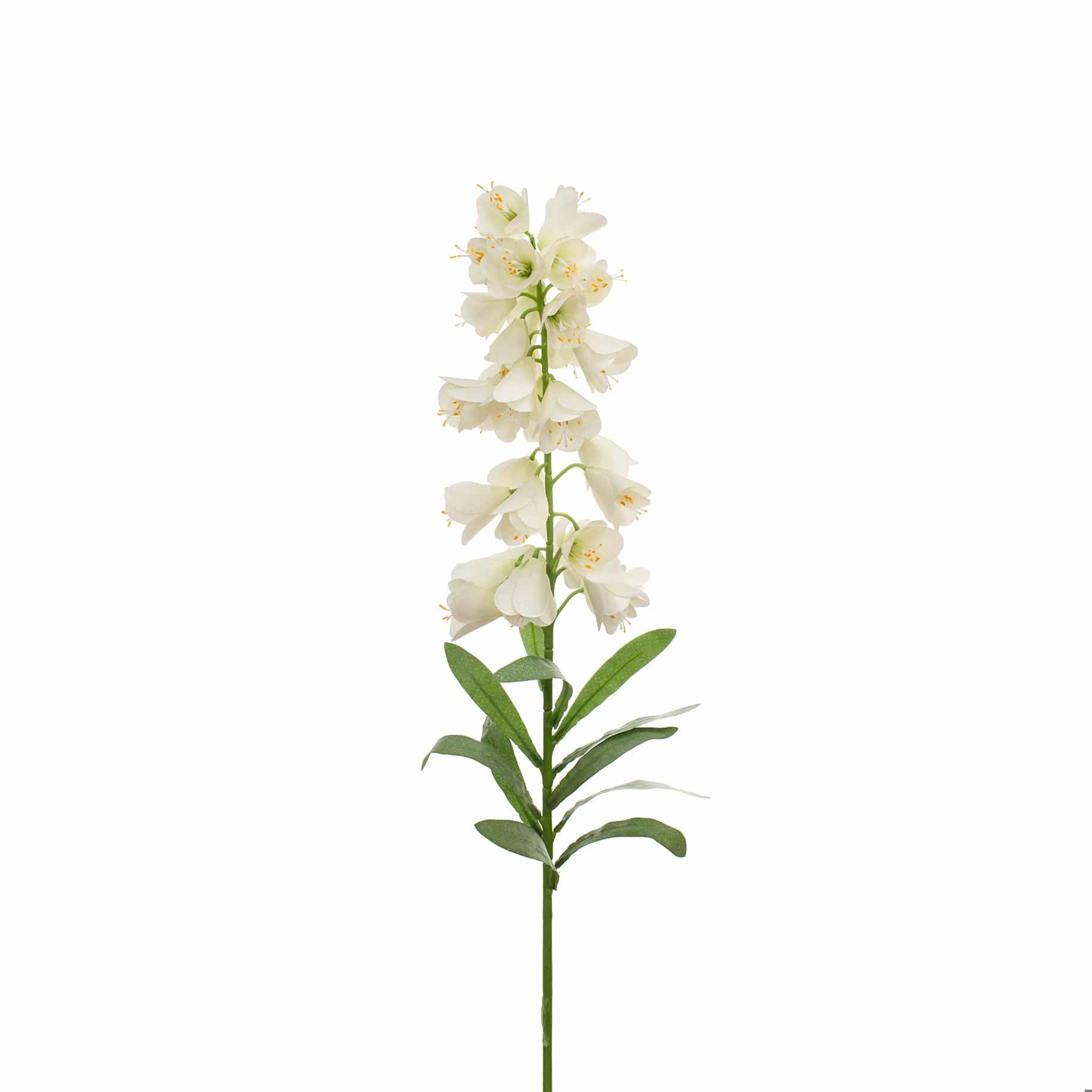 SF Fritillaria White GB 86cm