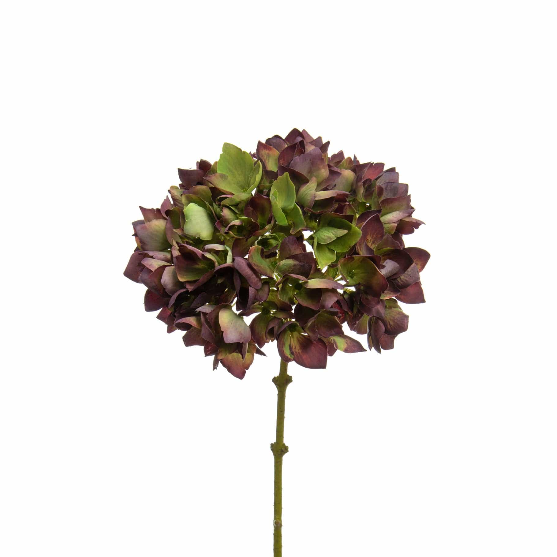 SF Hydrangea Burgundy 46cm - Image 3