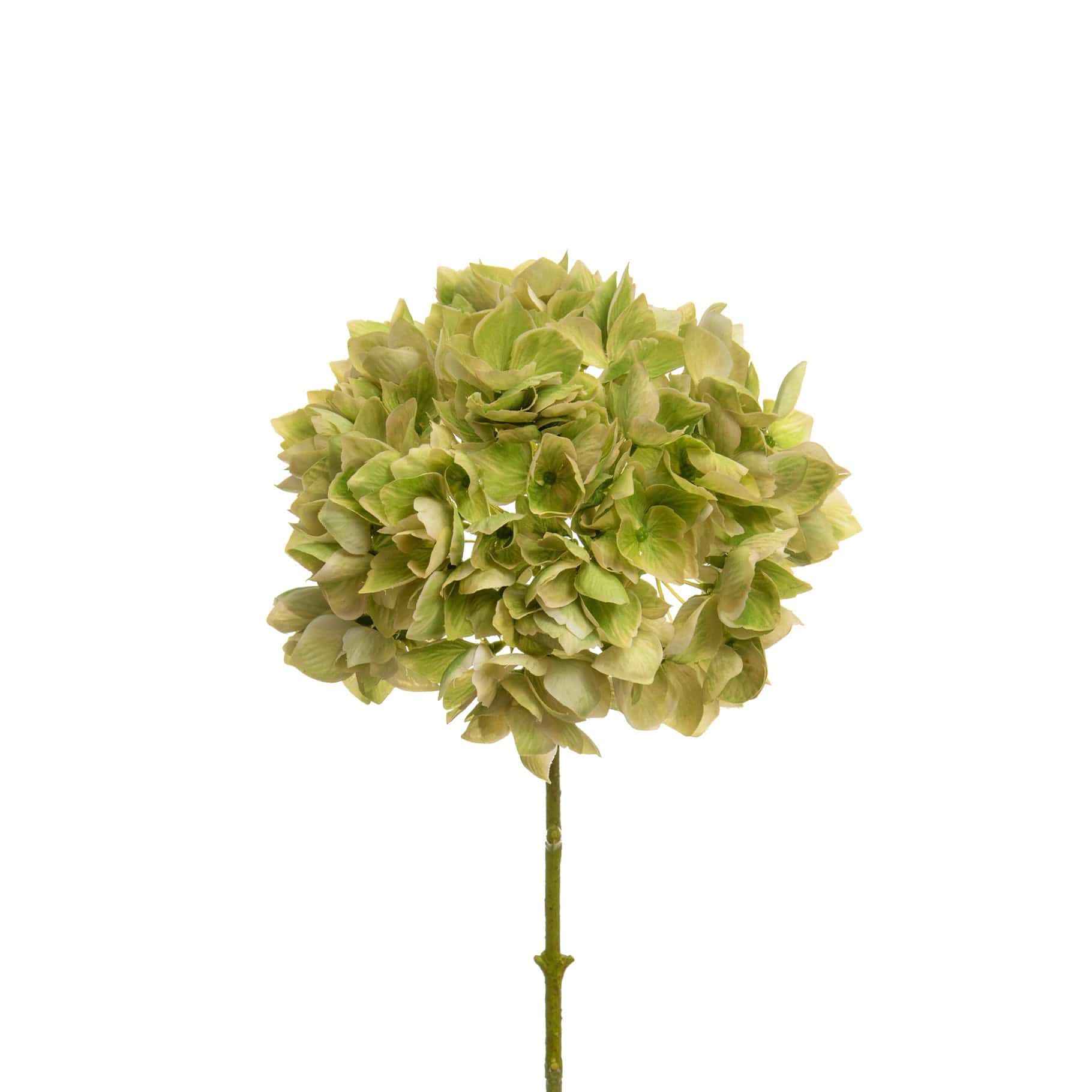 SF Hydrangea Green 46cm - Image 2