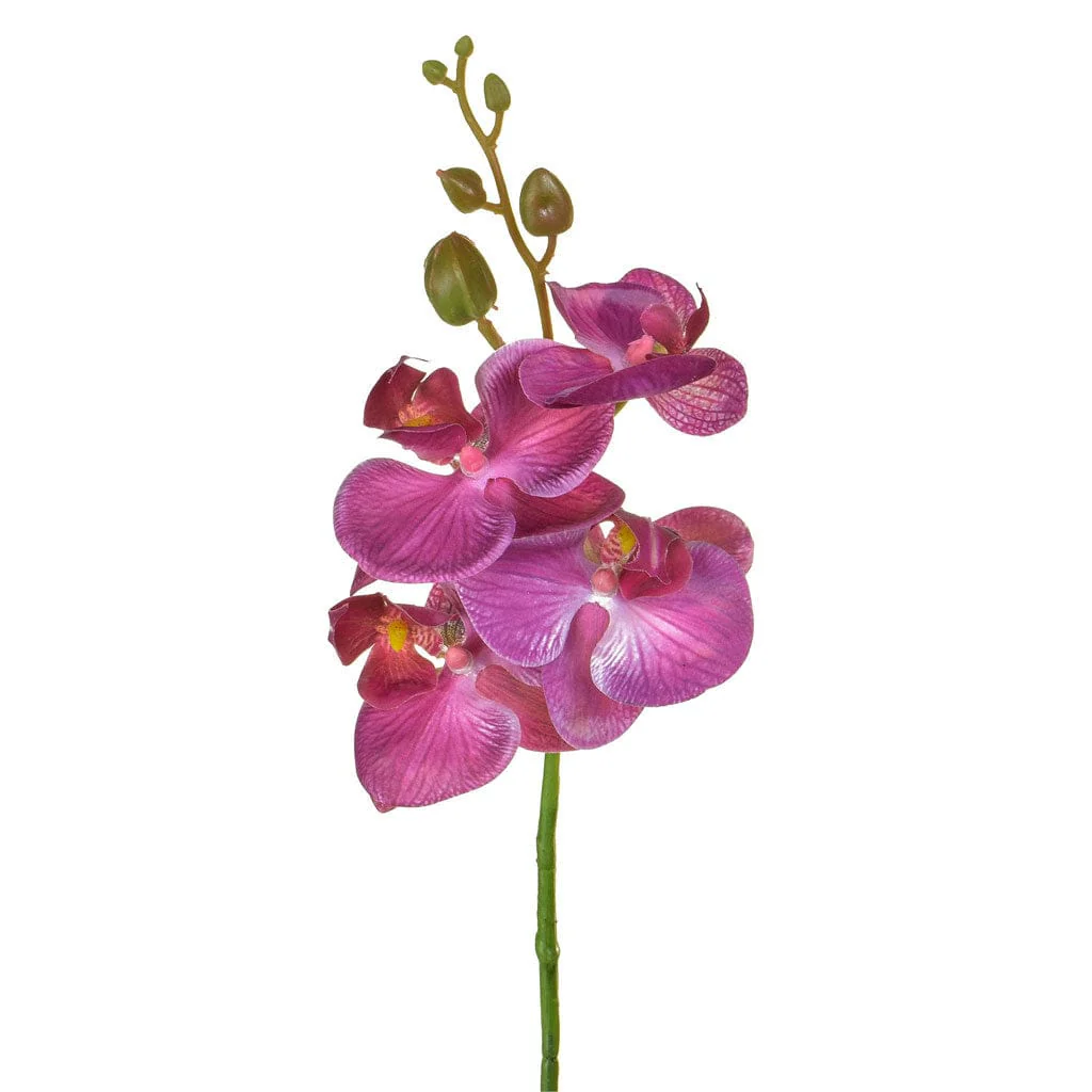 SF Orchid Phalaenopsis XJ Sm Dk/Pk 57cm - Image 2