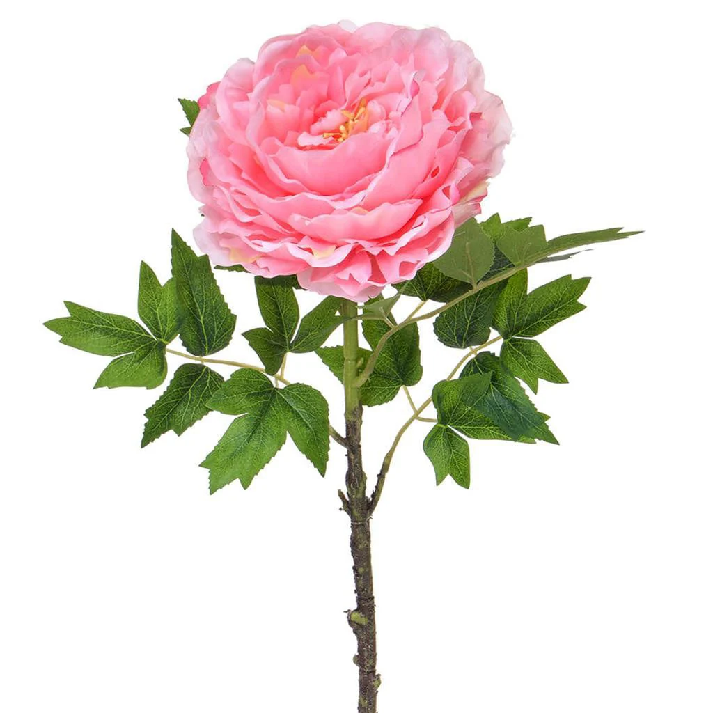 SF Peony Pink XH 63cm - Image 2