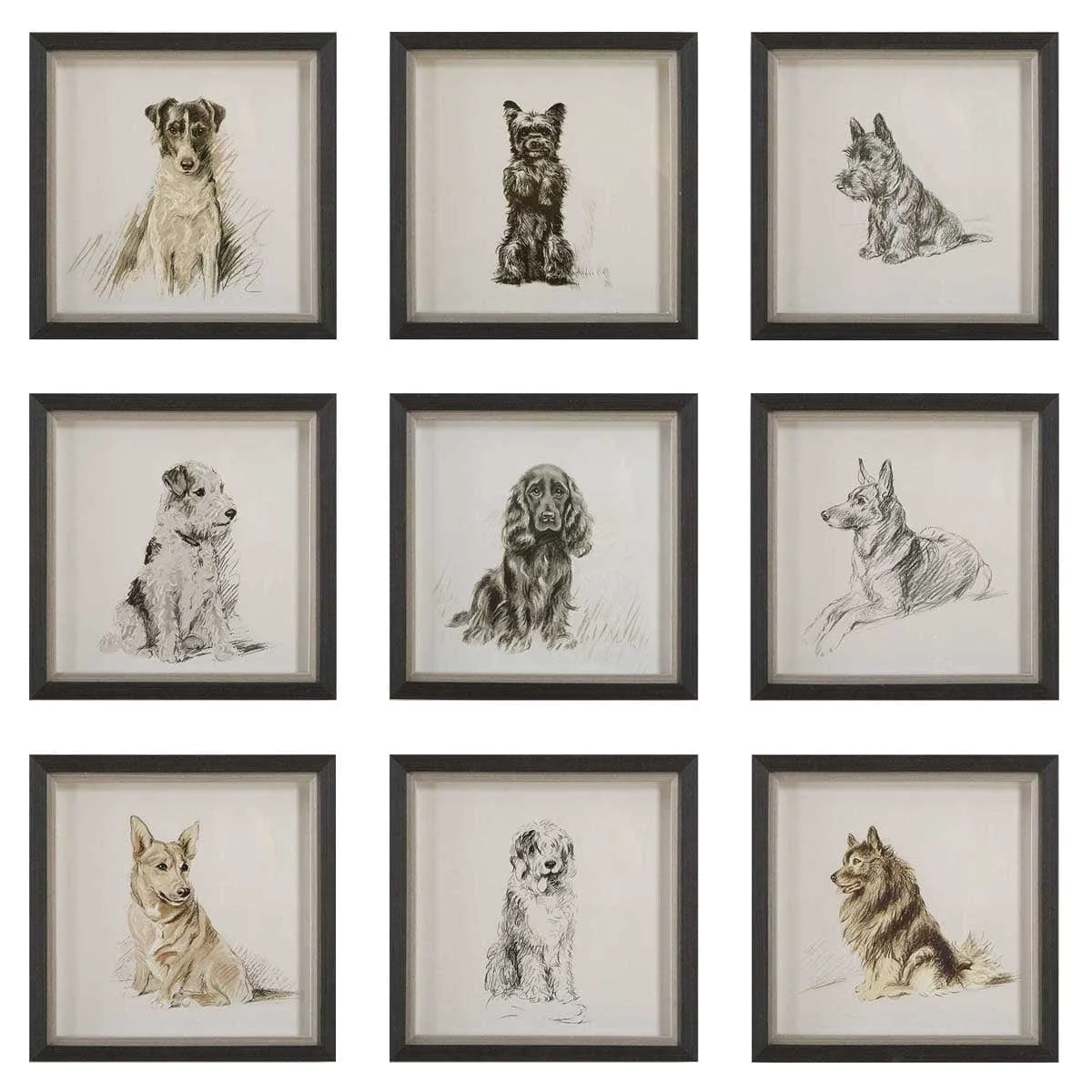 Uttermost Loyal Companion Framed Dog Prints, Set of 9 - Image 5