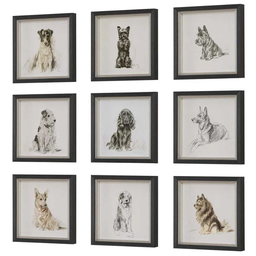 Uttermost Loyal Companion Framed Dog Prints, Set of 9 - Image 6