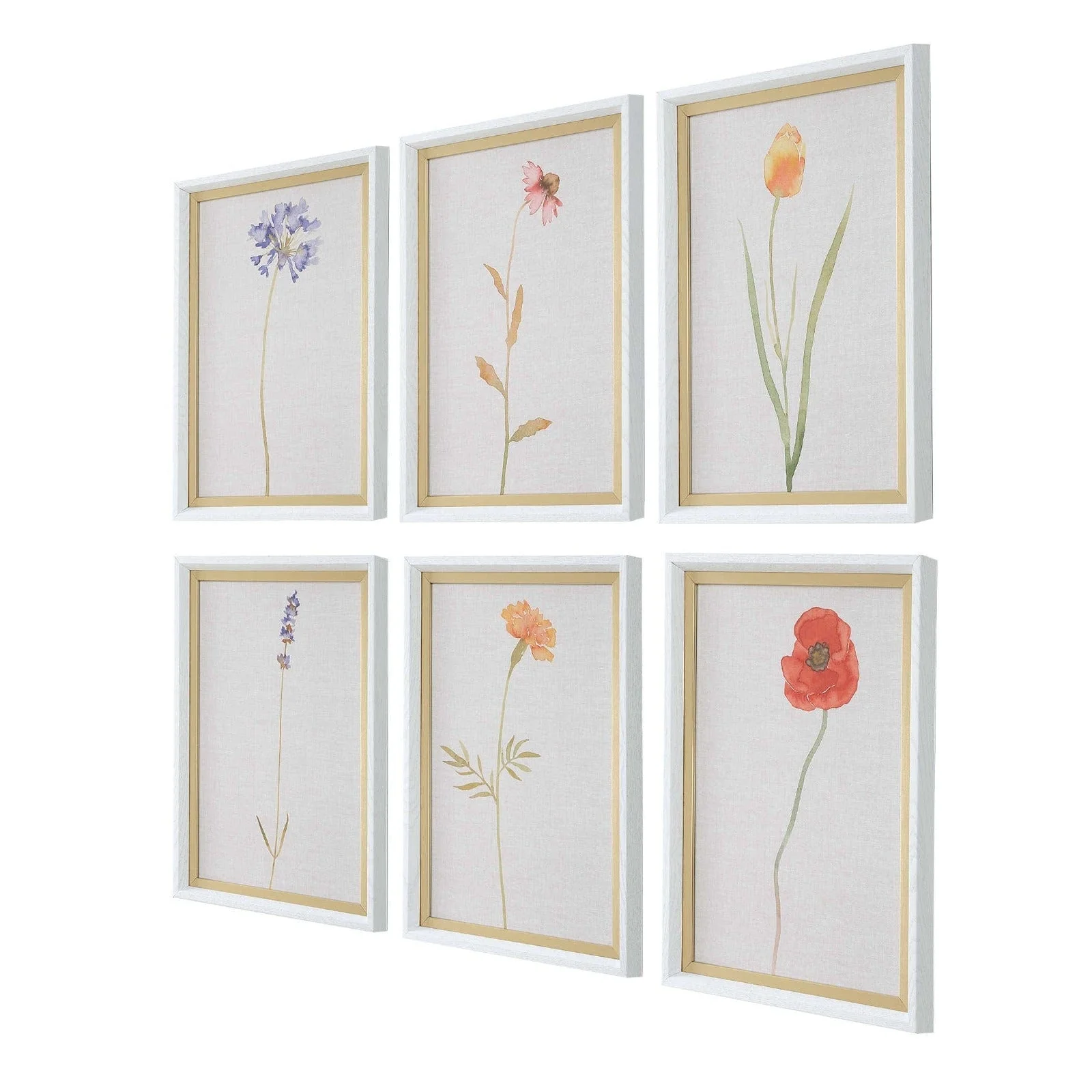 Uttermost Wild Flourish Framed Prints Set of 6 - Image 2